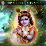 Top 5 Krishna Tracks - Rajalakshmee Sanjay Song Download